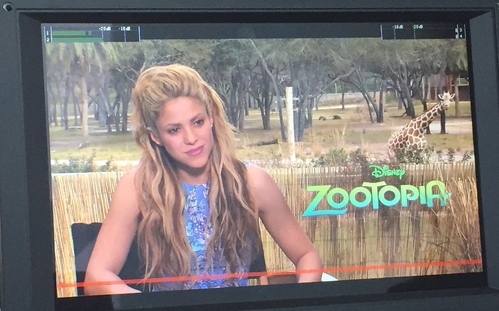22 de Fevereiro de 2016 - Essa girafa roubou a cena na minha foto fazendo exatamente a minha cara?! Shak 

Did this giraffe just photobomb me making my exact face?! Shak 
