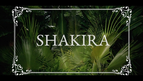 www_shakirabrasil_com00004~2.jpg