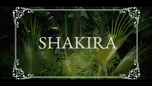 www_shakirabrasil_com00004~3.jpg