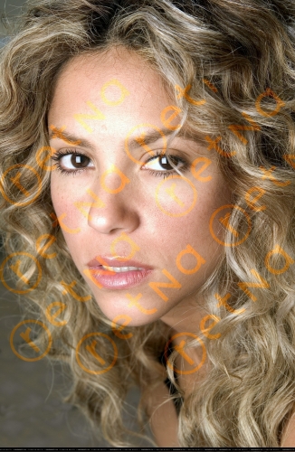 www_shakirabrasil_com00006~57.jpg