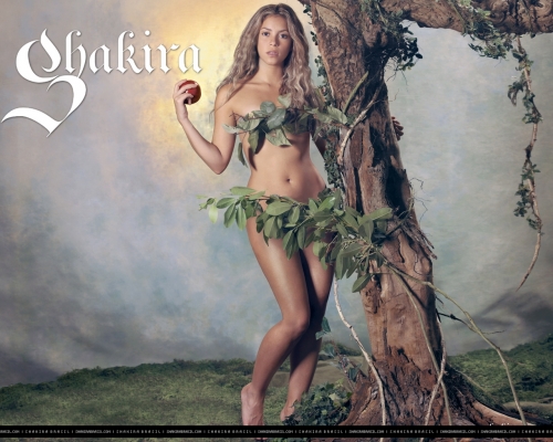 www_shakirabrasil_com00006~58.jpg