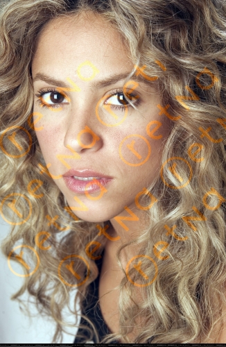 www_shakirabrasil_com00011~42.jpg