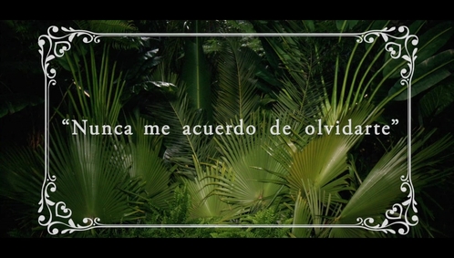 www_shakirabrasil_com00013~5.jpg