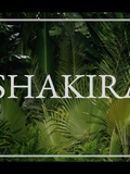 www_shakirabrasil_com00004~2.jpg