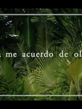 www_shakirabrasil_com00013~5.jpg