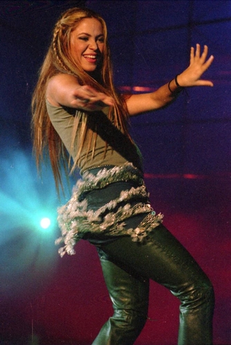 shakira_1999_-_maruja_parra.jpg