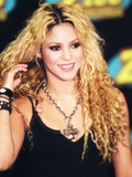 Shaki020609R02.jpg