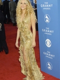 Shakira_Zuffante_SF.jpg