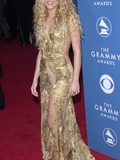 aa_grammy_awards_116.jpg