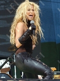 party_uk008.jpg