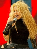 partyinpark0210.jpg