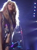 roseland11.jpg